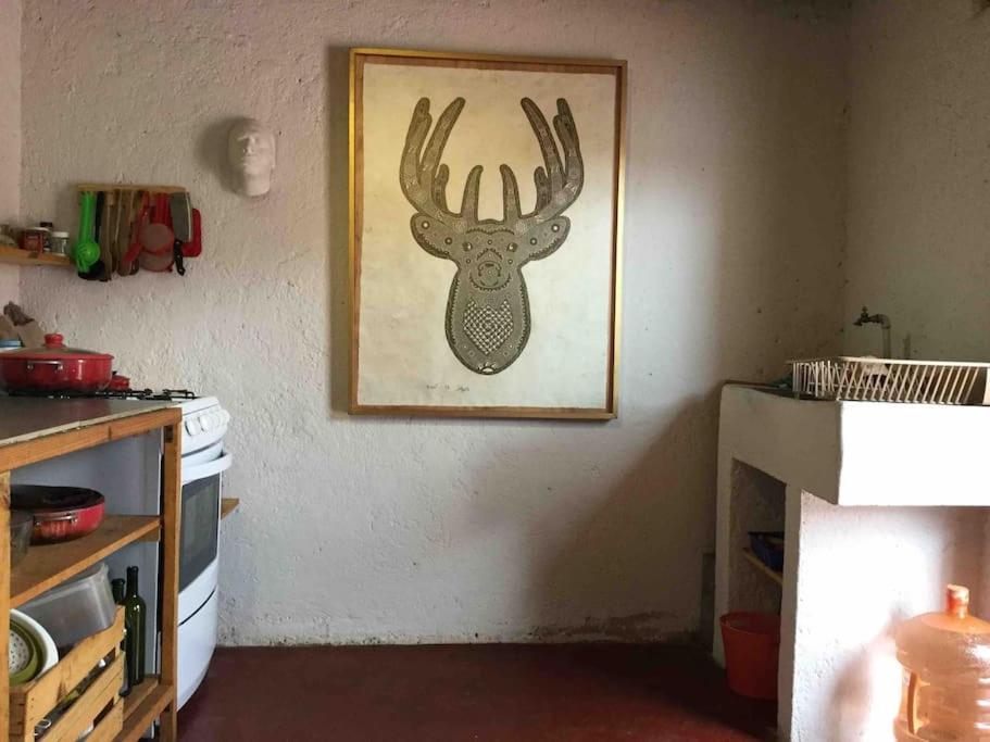 Casa Cerrillo Lejlighed San Cristóbal de Las Casas Eksteriør billede